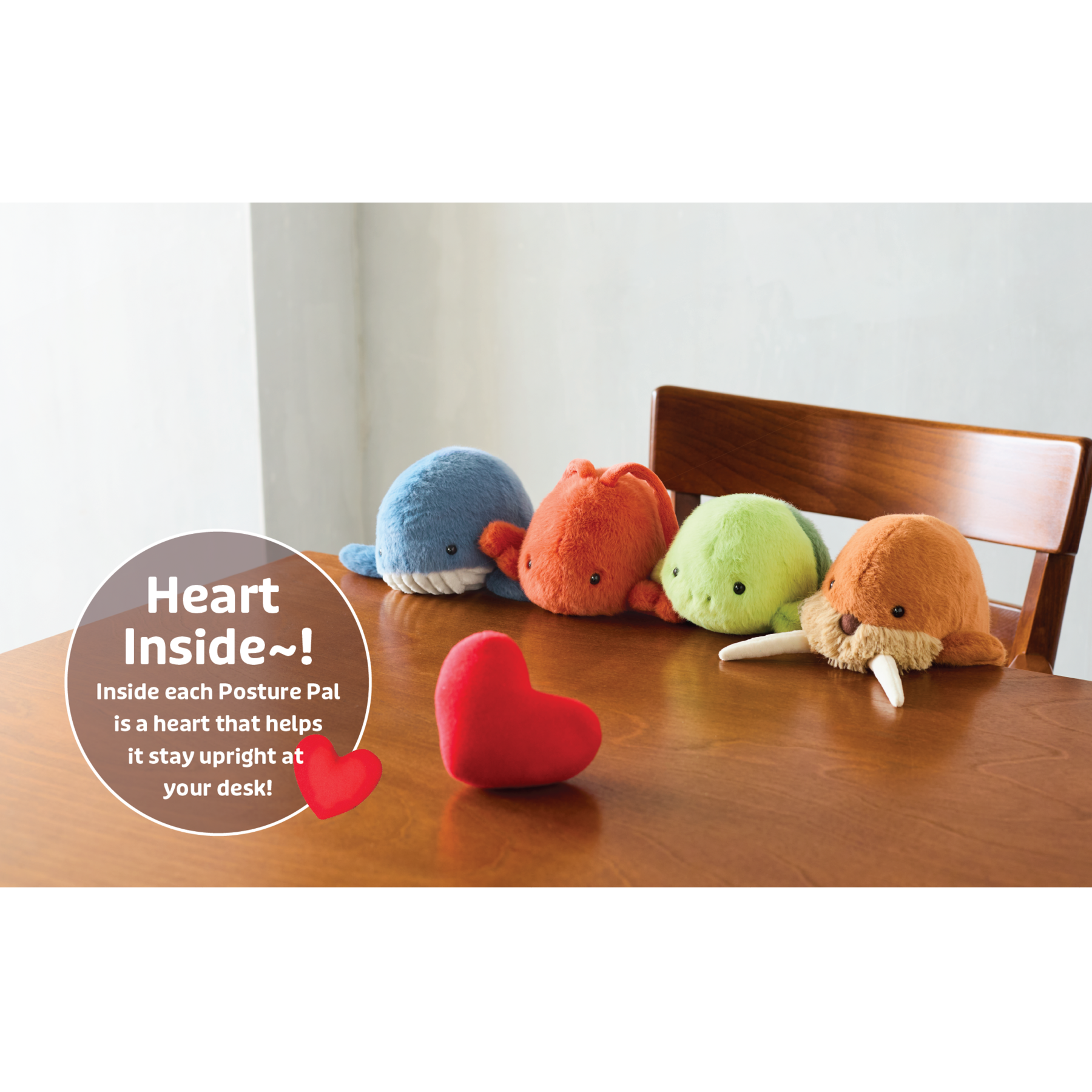 Posture Pal - Marine - Image 2