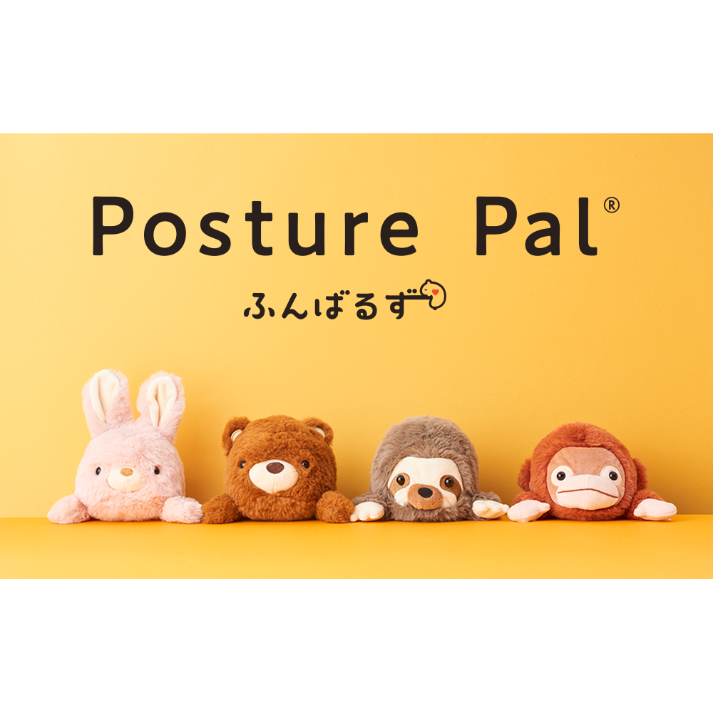 Posture Pal